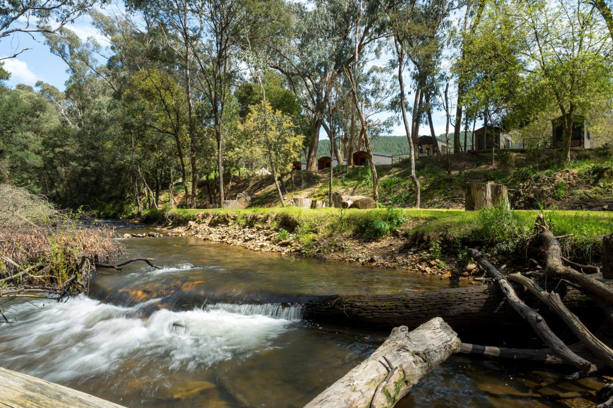 Bright Cabin Park מראה חיצוני תמונה