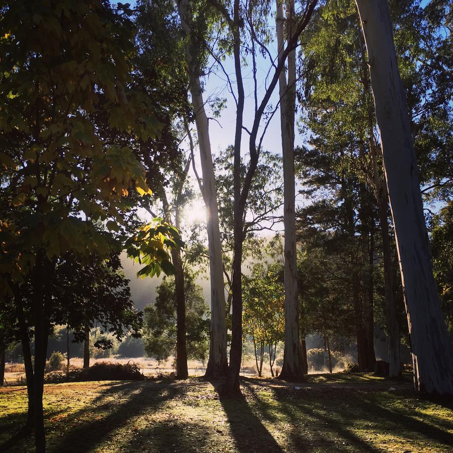 Bright Cabin Park מראה חיצוני תמונה